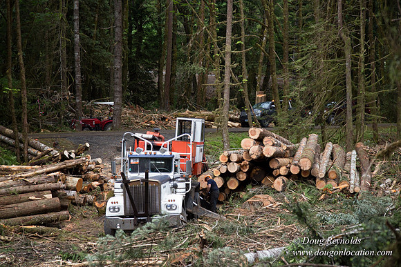 logging