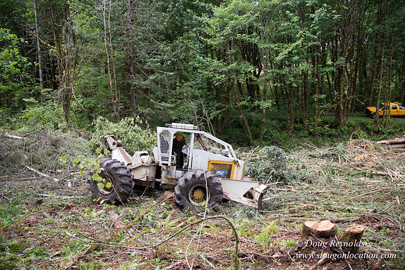 logging
