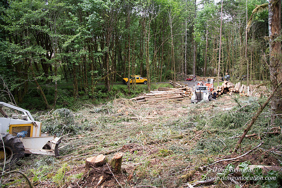 logging