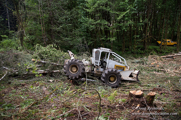 logging