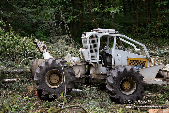 logging