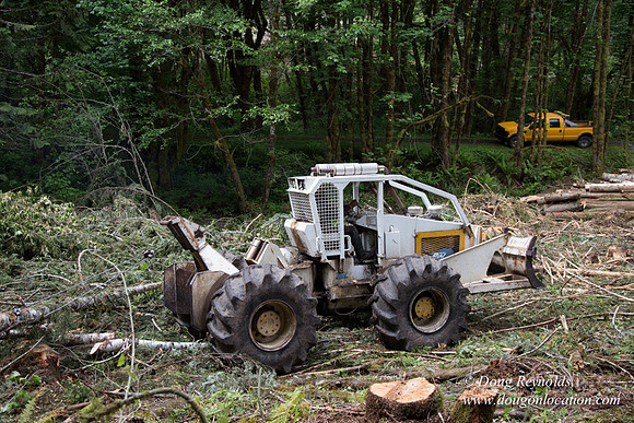 logging