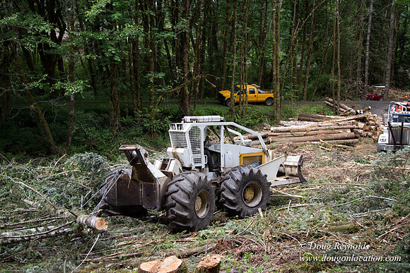 logging