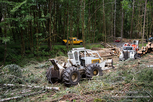 logging