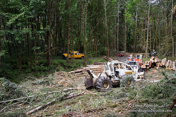 logging