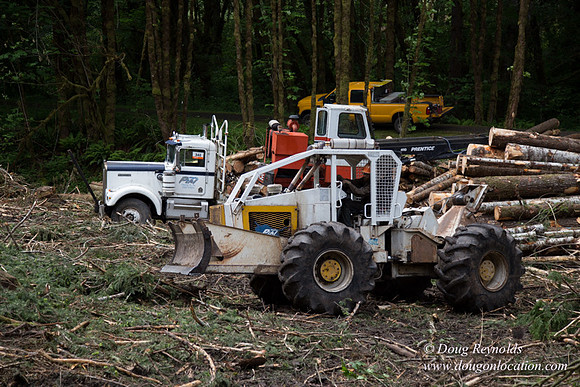 logging