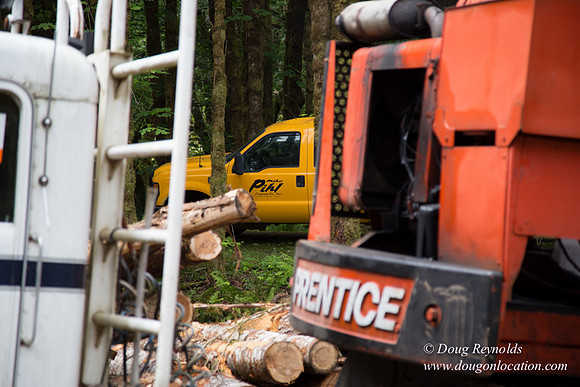 logging