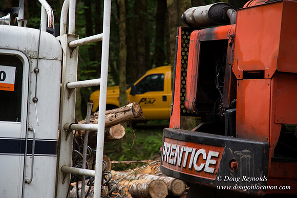 logging