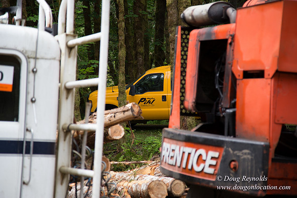 logging