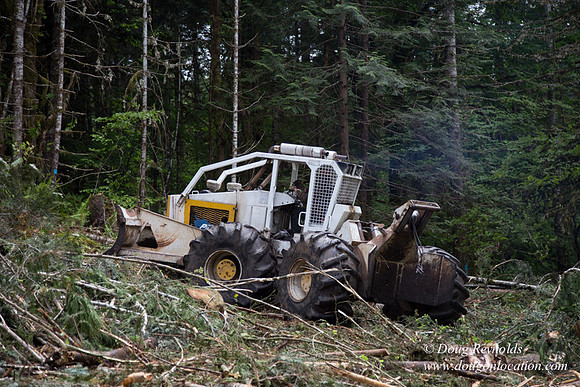 logging