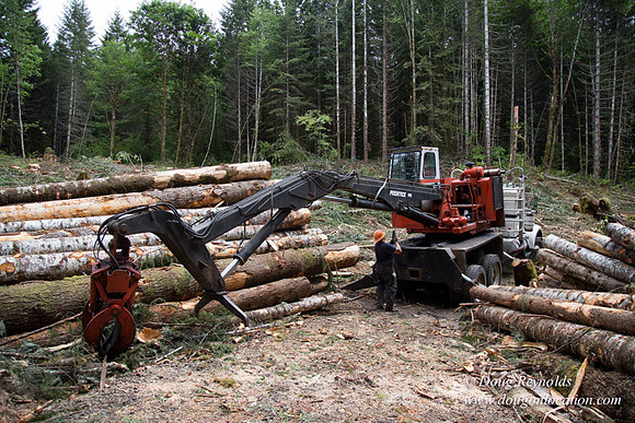 logging