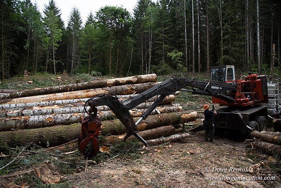 logging