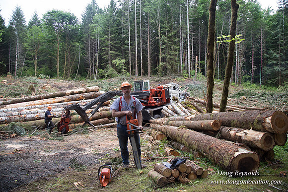 logging