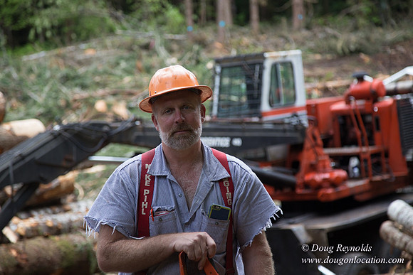 logging