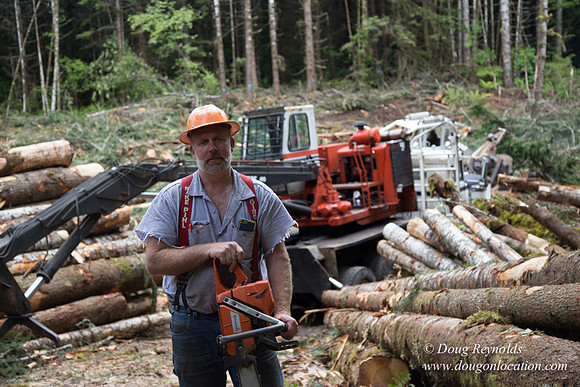 logging