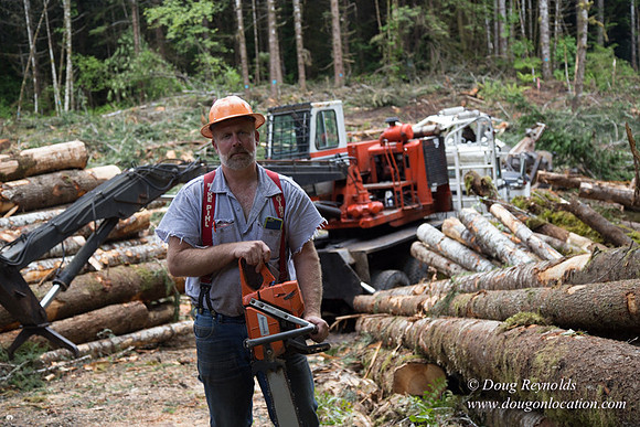 logging