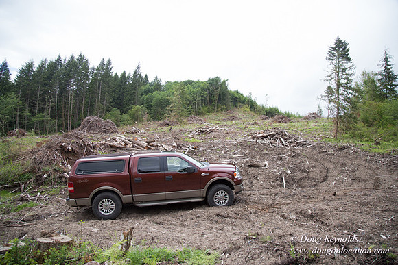 logging
