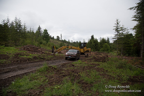 logging