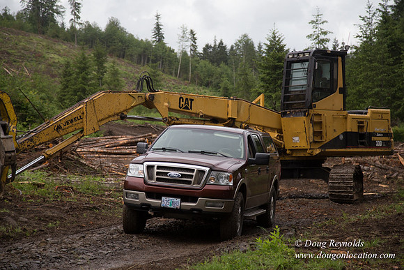 logging
