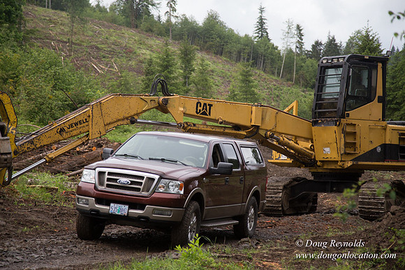 logging