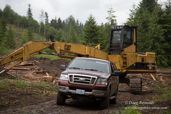 logging