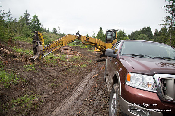 logging