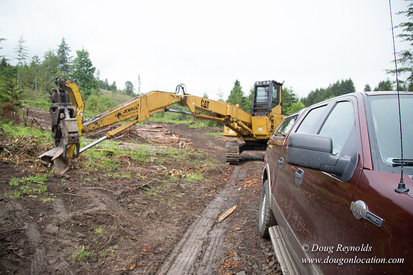 logging