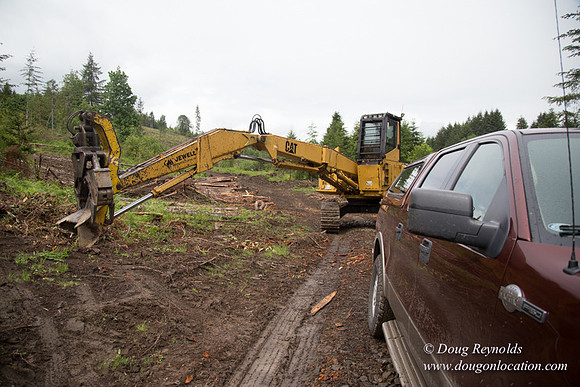 logging