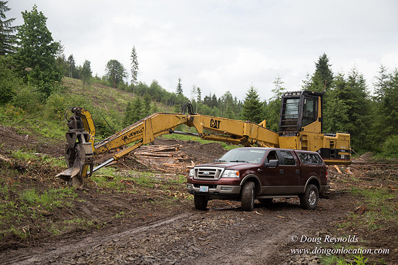logging