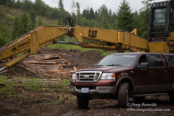 logging