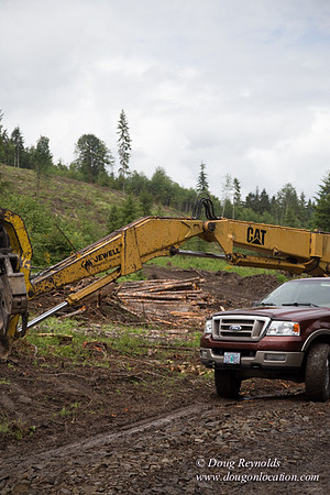 logging