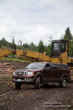 logging