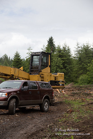 logging