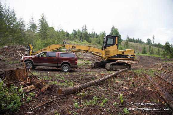 logging