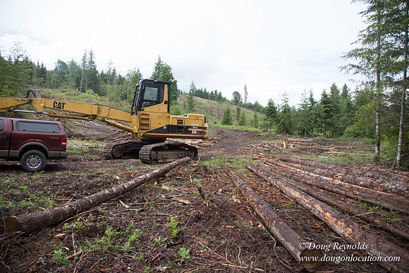 logging