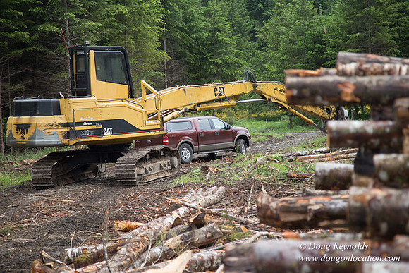 logging