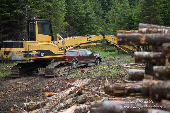 logging