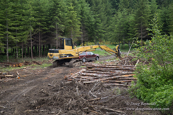 logging