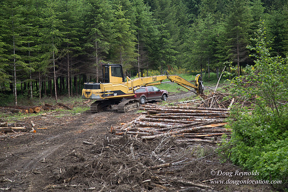 logging