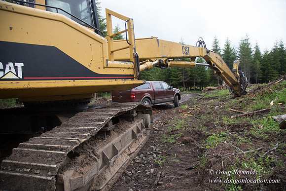 logging