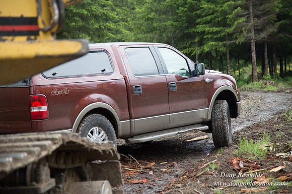 logging