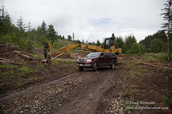 logging