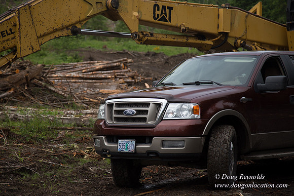logging