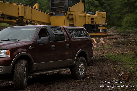 logging