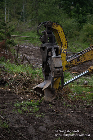 logging