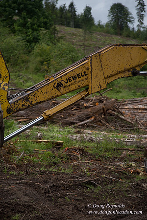 logging