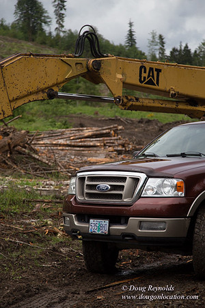 logging