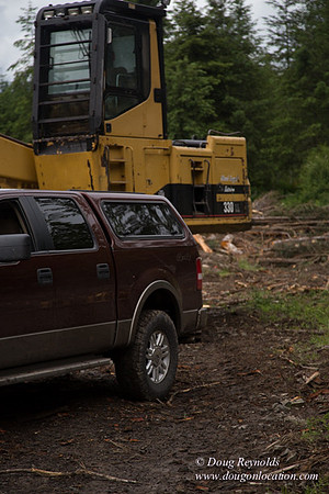 logging