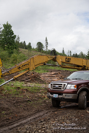 logging