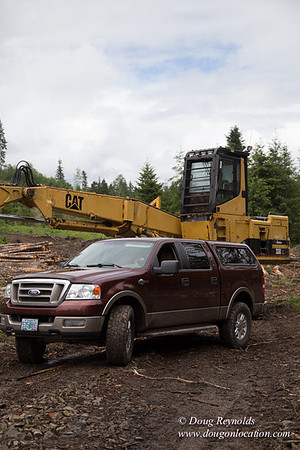 logging